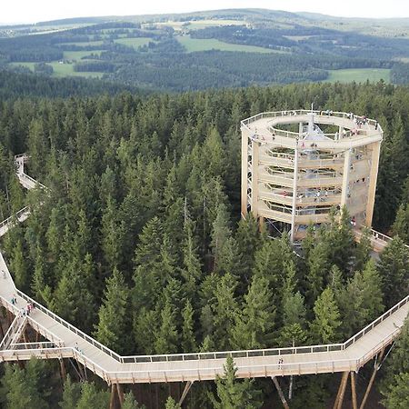 Апартаменти Mysi V Bote Lipno Ліпно-над-Влтавою Екстер'єр фото