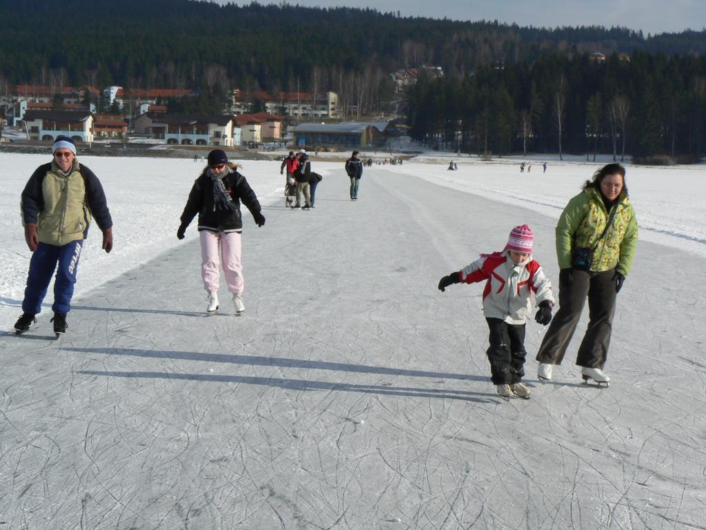 Апартаменти Mysi V Bote Lipno Ліпно-над-Влтавою Екстер'єр фото